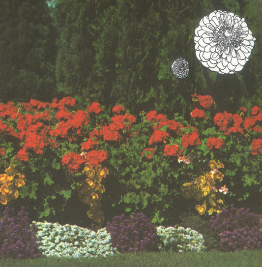Imaginary Softwoods : Annual Flowers in Color (LP, Album, RE)
