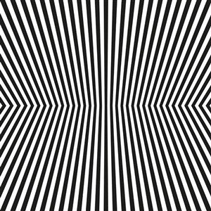 The Vacant Lots : Damage Control (2x12", Comp, Ltd, Bla)