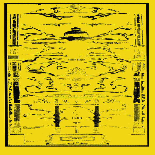 Kevin S. Eden : Passed Beyond (LP, Comp)