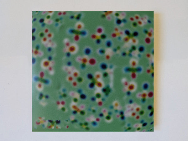 picnic (17) : Picnic (LP, Album, Ltd)