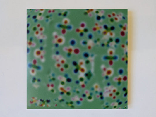 picnic (17) : Picnic (LP, Album, Ltd)