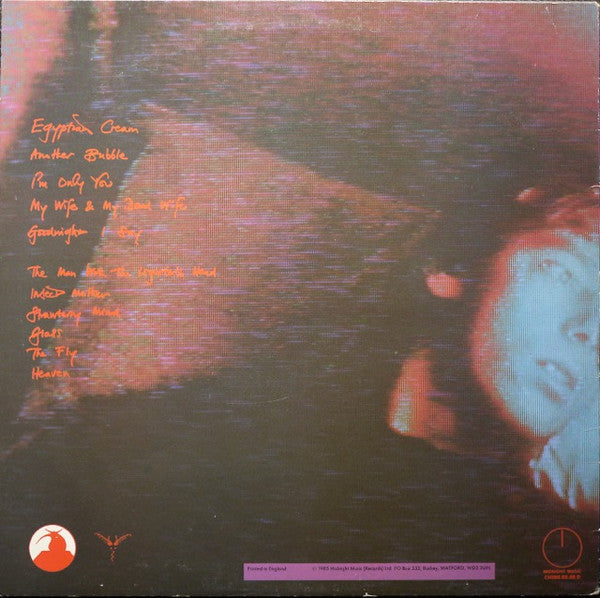 Robyn Hitchcock & The Egyptians : Fegmania! (LP, Album)