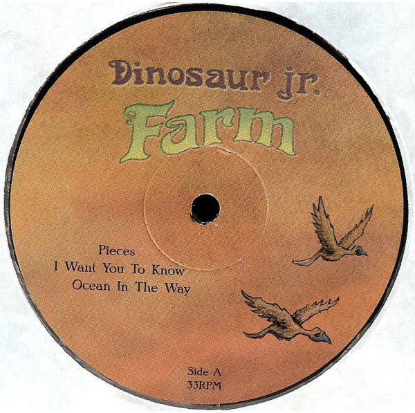 Dinosaur Jr. : Farm (2xLP, Album)