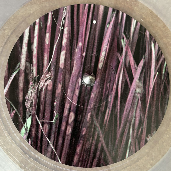 Jim O'Rourke : Too Compliment (LP, Album, Cle)