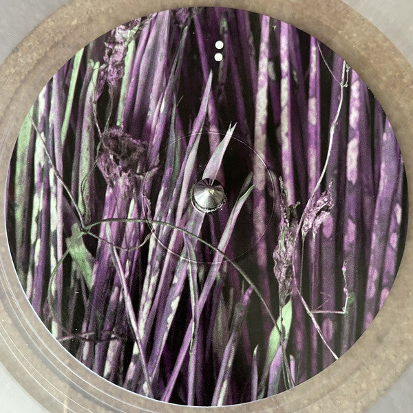 Jim O'Rourke : Too Compliment (LP, Album, Cle)