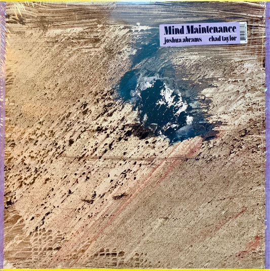 Mind Maintenance : Mind Maintenance (LP, Album)