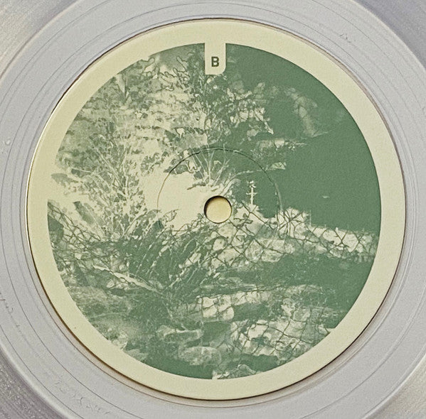 Marcus Fischer (2) : Monocoastal (10th Anniversary Edition) (LP, Album, Ltd, RE, cle)