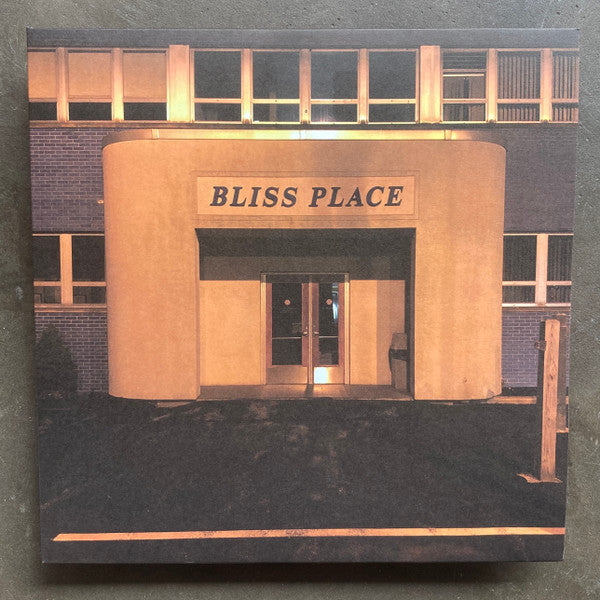 Brin & Josiah Steinbrick : Bliss Place (LP, Album, Ltd)