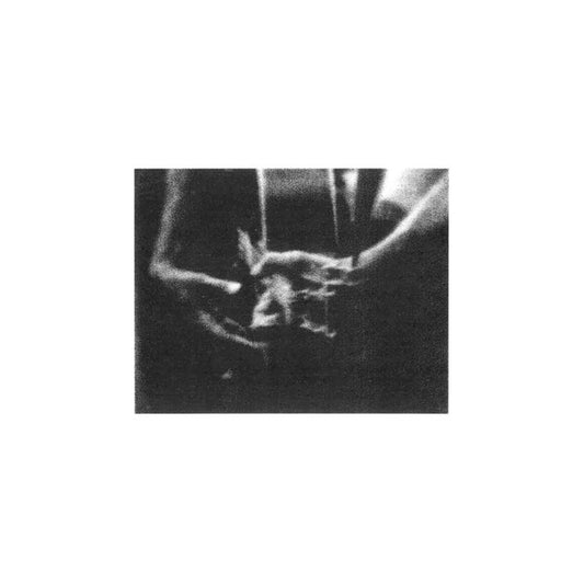 Loren Mazzacane Connors : Unaccompanied Acoustic Guitar Improvisations Vol. 2 (12", Ltd, RE)