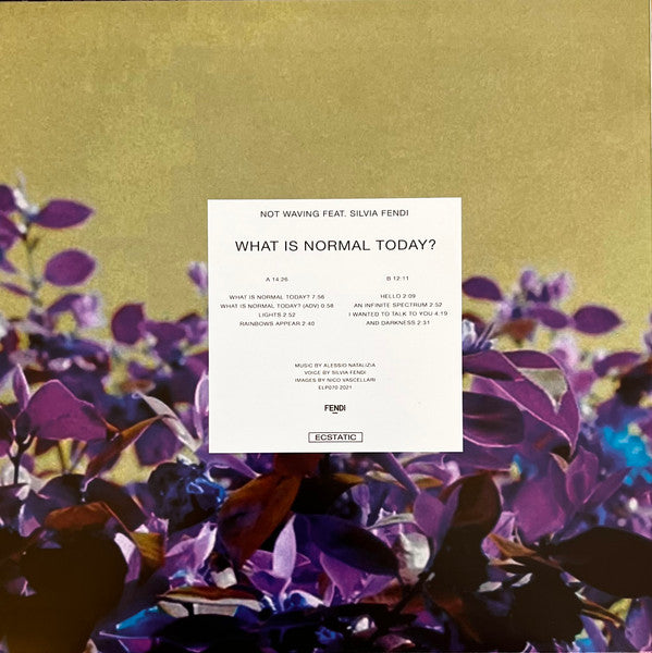 Not Waving Feat. Silvia Fendi : What Is Normal Today? (LP, sem)