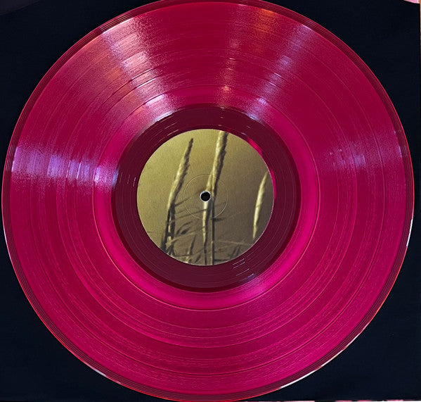 Not Waving Feat. Silvia Fendi : What Is Normal Today? (LP, sem)