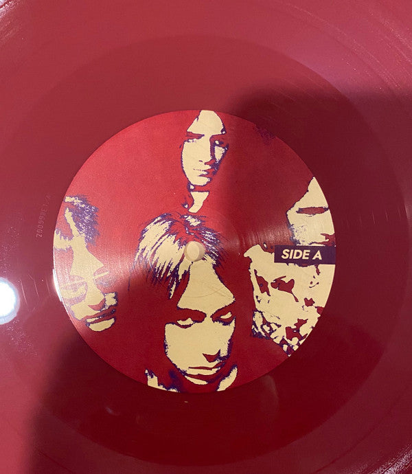 The Stooges : Till the End of the Night (LP, Album, Ltd, Cra)