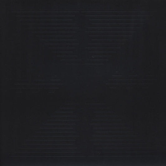 These New Puritans : Hidden (LP, Album, 180)