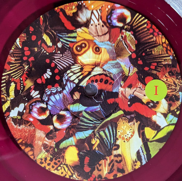 Michael Cashmore : The Night Has Rushed In (LP, Album, Cle)