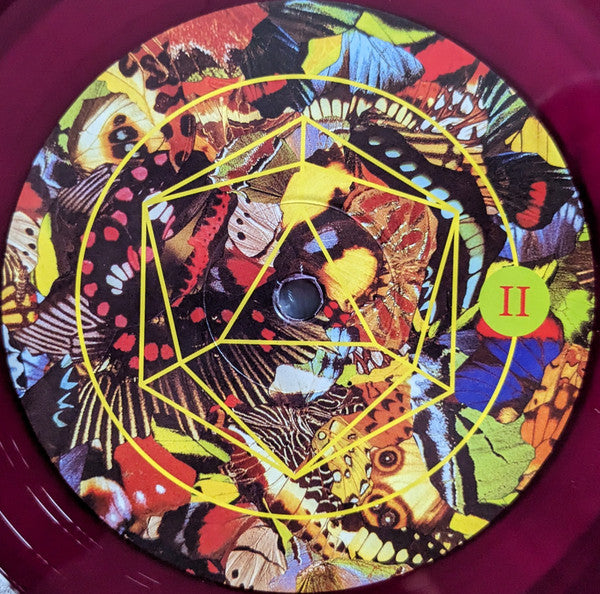 Michael Cashmore : The Night Has Rushed In (LP, Album, Cle)