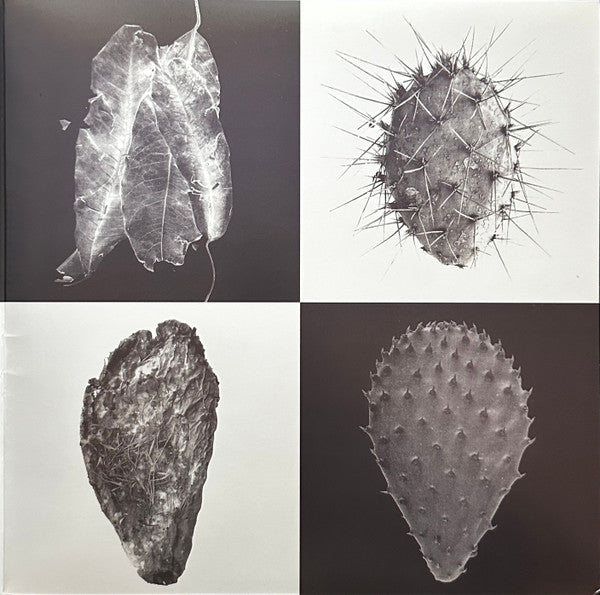 A.R. Kane : Americana (2xLP, RSD, Comp, RE, Gre)