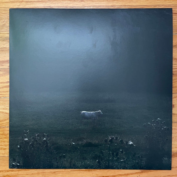 Ulla* : Limitless Frame   (LP, Album, Ltd, RP)