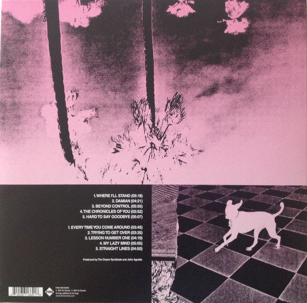 The Dream Syndicate : Ultraviolet Battle Hymns And True Confessions (LP, Album)