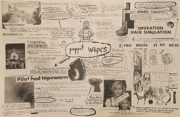 Puppet Wipes : The Stones Are Watching & They Can Be A Handful (LP, Album)