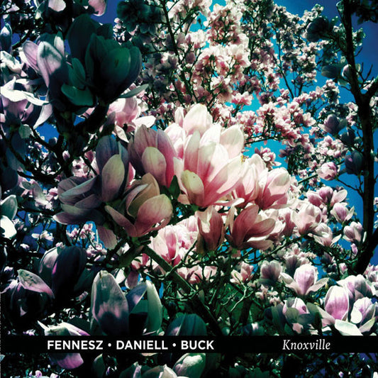 Fennesz • Daniell* • Buck* : Knoxville (LP, Album, Ltd)