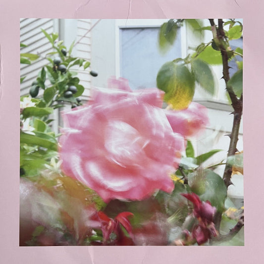 The Reds, Pinks And Purples : Summer At Land's End (LP, Album, Gre)