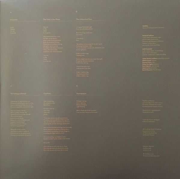 Mothlite : The Flax Of Reverie (2xLP, Album)