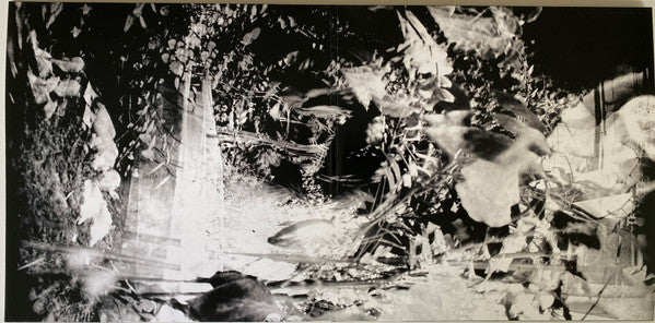 The Young Gods : The Young Gods Play Terry Riley In C (2xLP, Album, 180 + CD, Album + Ltd)