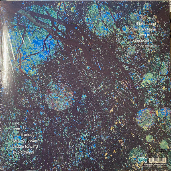 Yo La Tengo : Fade (LP, Album, RE)