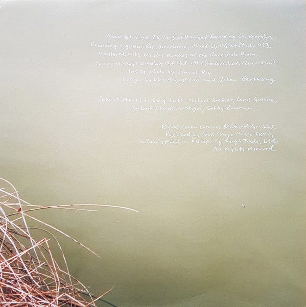 Loren Mazzacane Connors & David Grubbs : Arborvitae (LP, Album)