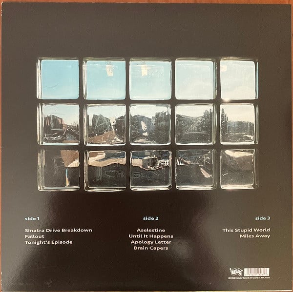Yo La Tengo : This Stupid World (2xLP, Album, Ltd, Blu)