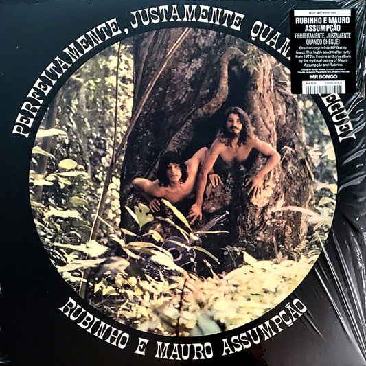 Rubinho E Mauro Assumpção : Perfeitamente, Justamente Quando Cheguei (LP, Album, RE)