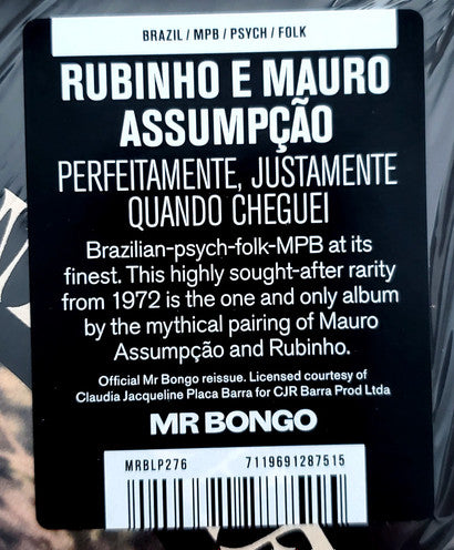 Rubinho E Mauro Assumpção : Perfeitamente, Justamente Quando Cheguei (LP, Album, RE)