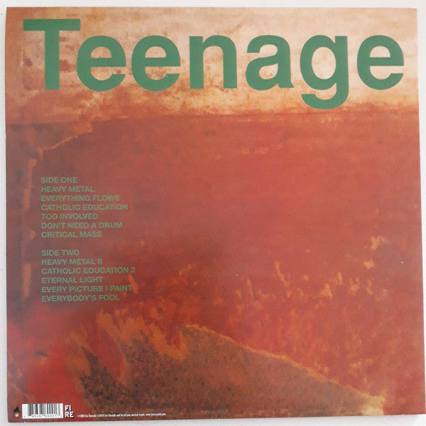 Teenage Fanclub : A Catholic Education (LP, Album, RE)