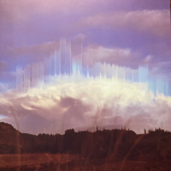 Matt Elliott : The End Of Days (LP, Album)