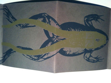 John Fahey : The Mill Pond (2x7", Ltd, Gre)