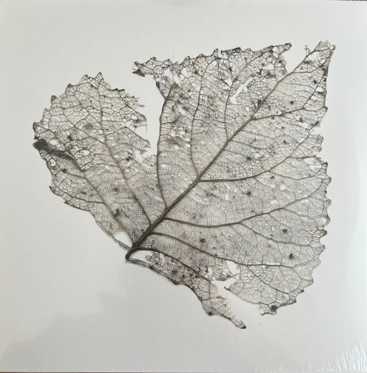 The Telescopes : Hungry Audio Tapes (LP, RSD, Mil)