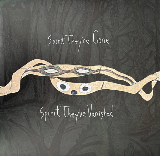 Animal Collective : Spirit They're Gone Spirit They've Vanished (2xLP, Album, Ltd, RE, RM, Gre)