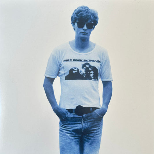 The Pooh Sticks : Straight Up: Noise Pollution C88-90 (LP, Comp, Blu)