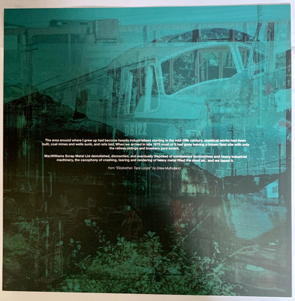 Mount Vernon Arts Lab : Deltic Vespers (LP, Pur)