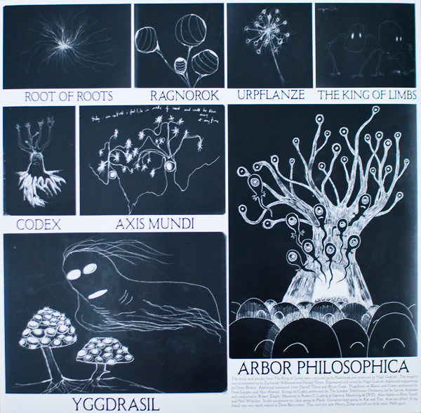 Radiohead : The King Of Limbs (LP, Album)