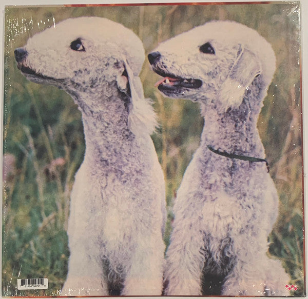 Ty Segall : Goodbye Bread (LP, Album)