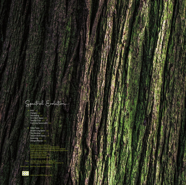 Rafael Toral : Spectral Evolution (LP, Album)