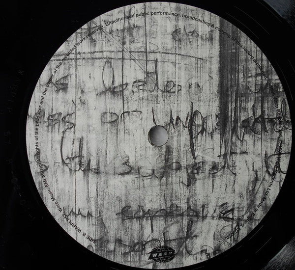 Squarepusher : Music Is Rotted One Note (LP, Album)