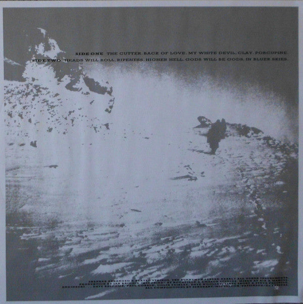 Echo & The Bunnymen : Porcupine (LP, Album, RE)