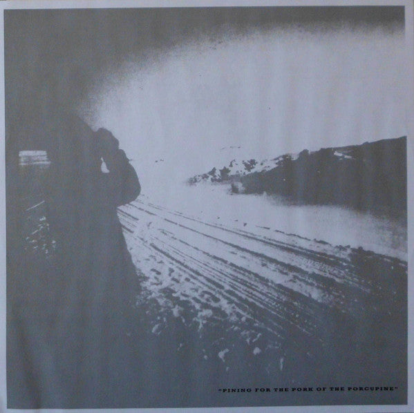 Echo & The Bunnymen : Porcupine (LP, Album, RE)