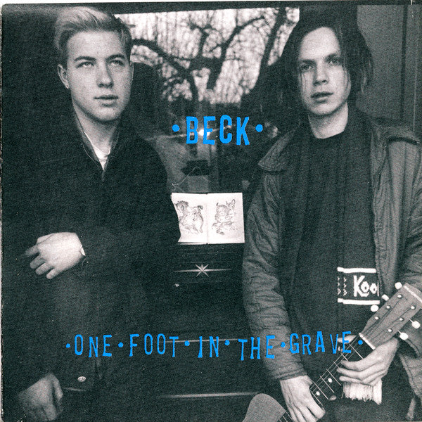 Beck : One Foot In The Grave (LP, Album)