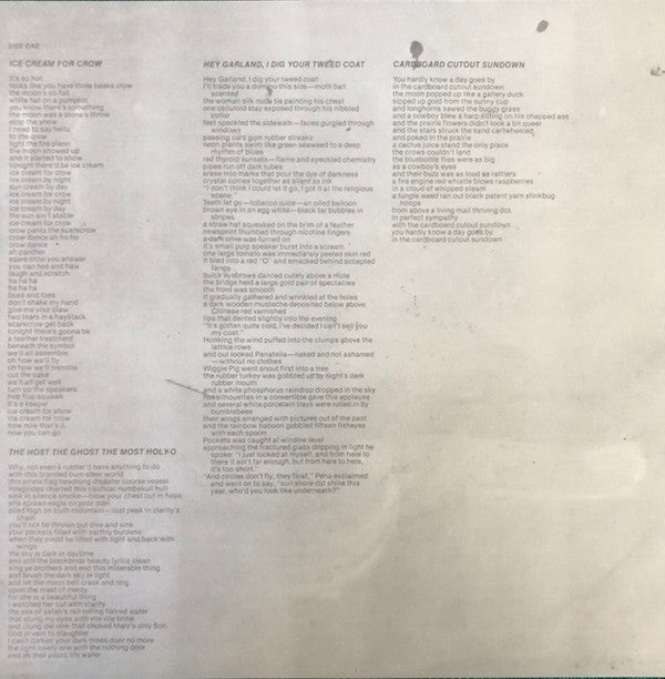 Captain Beefheart & The Magic Band : Ice Cream For Crow (LP, Album, RE, 180)