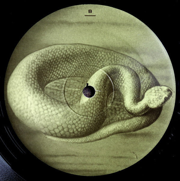 Imbogodom : And They Turned Not When They Went (LP, Album)