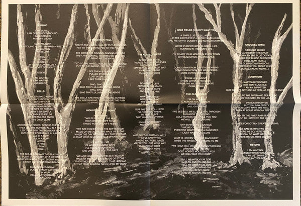 These New Puritans : Crooked Wing (LP, Album)