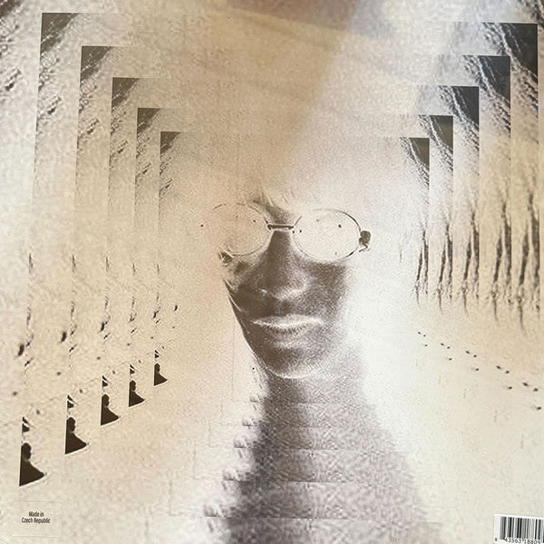 Bill Orcutt : A Mechanical Joey (LP, RP)